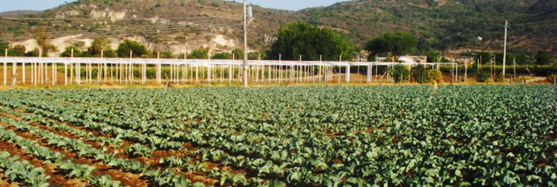 Imagem - Cresce em 27% procura por crédito no BNDES Cresce em 27% procura por crédito no BNDES