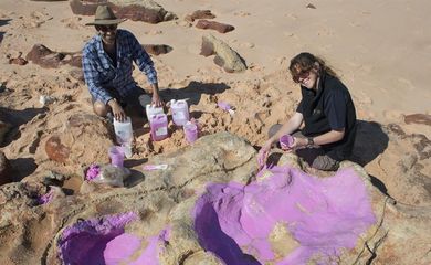 Cientistas criam molde de silicone na pegada de um dinossauro. Grupo de pesquisadores identificou 150 pegadas de 21 espécies de dinossauros em uma área do noroeste da Austrália
