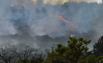 Incêndio atinge área de Cerrado em Brasília
