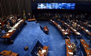 Brasília - Sessão do plenário do Senado analisa a Medida Provisória 692/2015, que eleva a tributação dos ganhos de capital para pessoas físicas (Fabio Rodrigues Pozzebom/Agência Brasil)