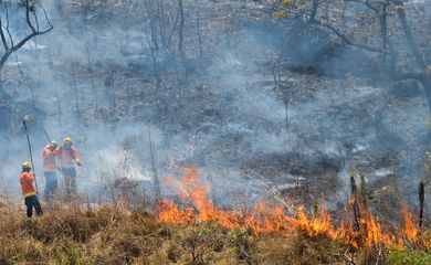 Bombeiros combatem incêndio na região da Fercal (Antonio Cruz/Agência Brasil)