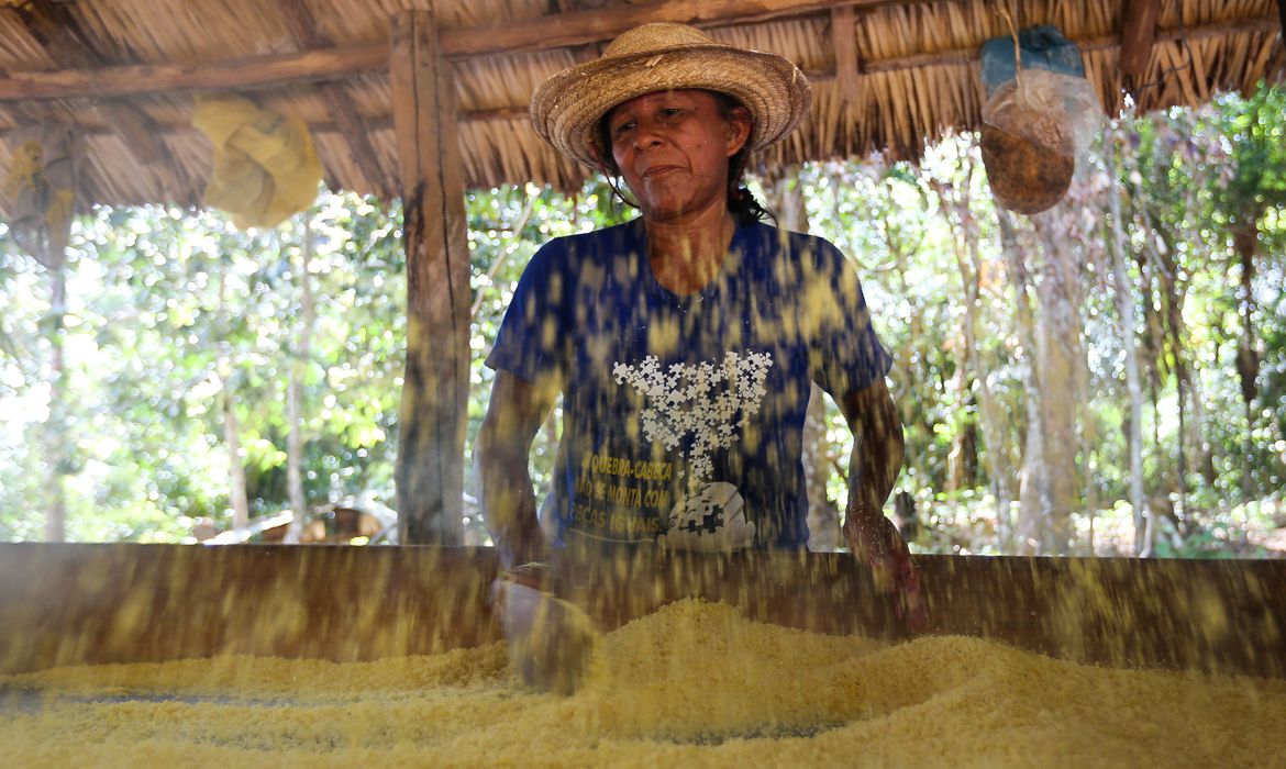 Santarém (PA) - Na Comunidade Anã, Maria Lucidalva Godinho trabalha na produção de farinha 