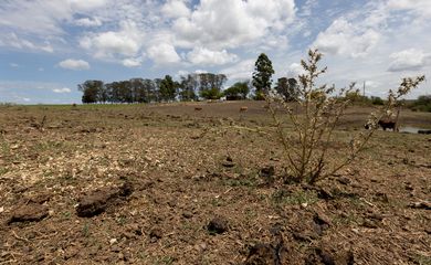 Bagé (RS), 23/02/2023 - Area de região afetada pela estiagem no Rio Grande do Sul. O governo federal deve oficializar medidas para enfrentamento da seca que atinge os municípios gaúchos. 