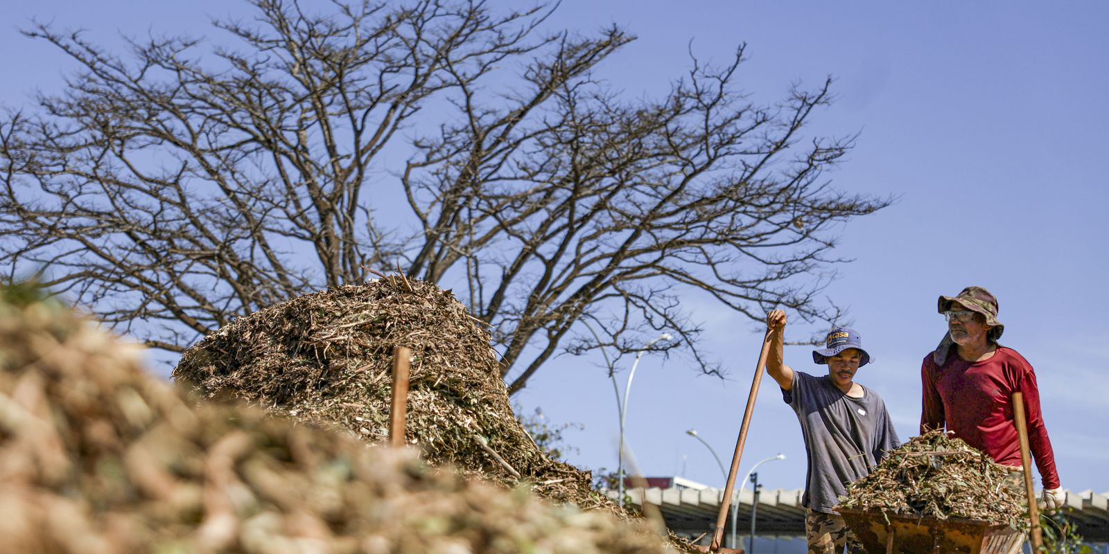 Se crean sistemas agroecológicos de cuatro biomas en Brasilia