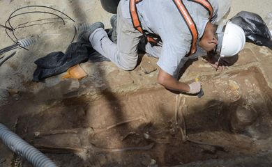 Escavações das obras do Veículo Leve sobre Trilhos (VLT) revelaram ossadas de pessoas que teriam pertencido à elite do século XVII, no Centro do Rio de Janeiro, onde era localizada a Igreja de São Joaquim.