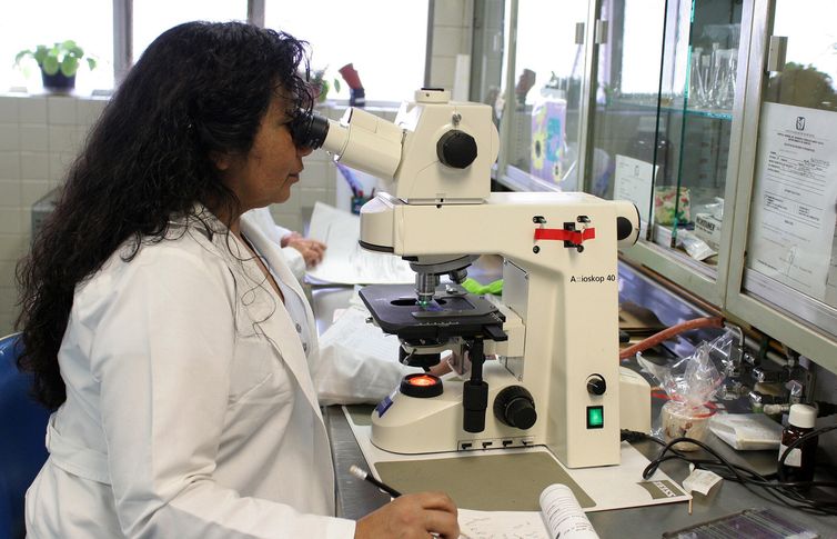 29/06/2023 - Mulheres Cientistas. Foto: ernestoeslava/Pixabay
