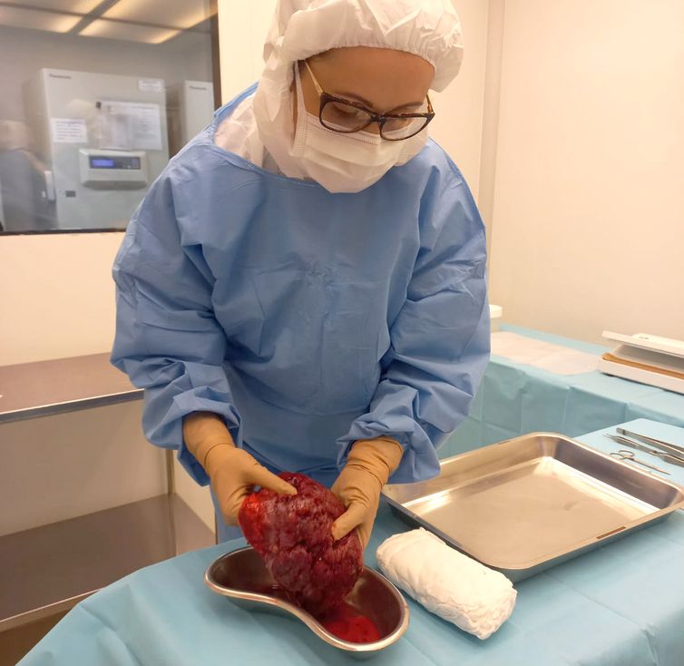 Curativo biológico à base de placenta, por INTO/Divulgação