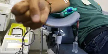 Viva Naria se 