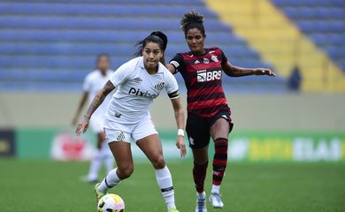 Brasileirão Feminino, flamengo, santos