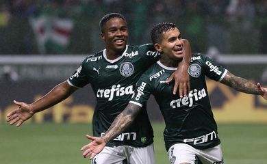 palmeiras, fortaleza, brasileiro