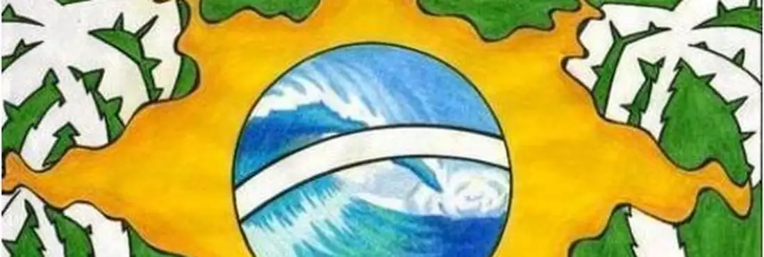 Bandeira do Brasil Bandeira do Brasil