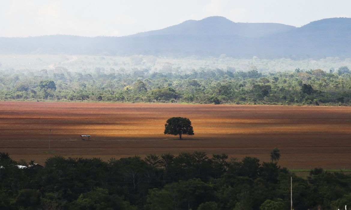 Alto Paraíso de Goiás (GO) -  Área de cerrado desmatada para plantio no município de Alto Paraíso (Marcelo Camargo/Agência Brasil)