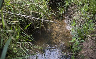 A ação tem sido empreendida pelo programa Produtor de Água para recuperar a Bacia Hidrográfica do Pipiripau, que já foi considerada uma das bacias mais problemáticas do Distrito Federal.