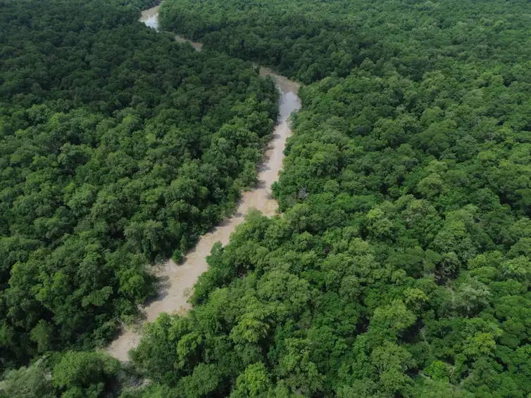 Fernando Frazão/Agência Brasil Bragança (PA), 12/06/2025 – Vista de um braço do Rio Caeté em área de manguezal na Reserva Extrativista Marinha de Caeté-Taperaçu monitorada pelo projeto Mangues da Amazônia. Foto: Fernando Frazão/Agência Brasil