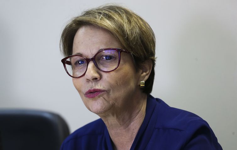 Governo apresenta estratégia integrada para o escoamento da Safra 2018/2019.Na foto, a ministra da Agricultura, Tereza Cristina.
