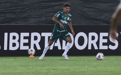 Palmeiras, universitario, libertadores