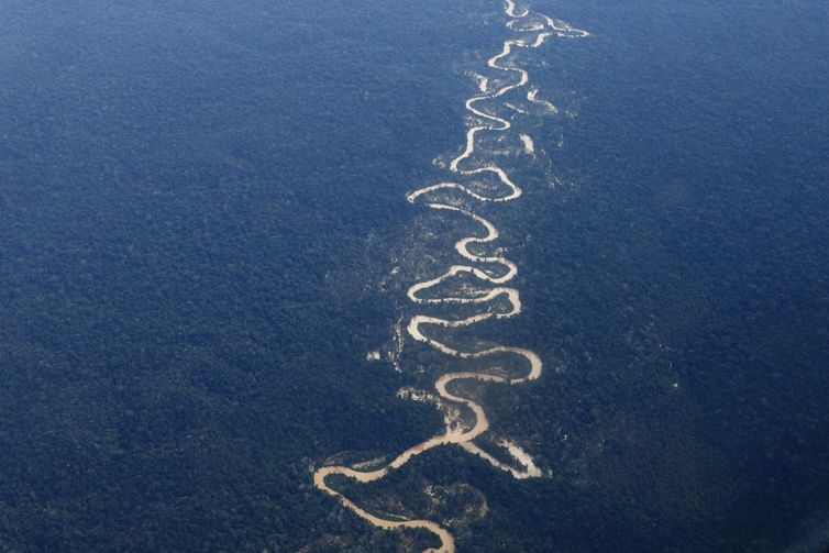 Alto Alegre (RR), 10/02/2023 - Vista em sobrevoo do rio Mucajaí, afetado pelo garimpo ilegal na Terra Indígena Yanomami. Foto: Fernando Frazão/Agência Brasil