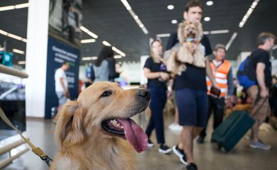 Brasília (DF) 28/04/2024 Tutores de pets fazem protesto no Aeroporto Juscelino Kubitschek de Brasília cobrando justiça pela morte do Golden Retriever Joca, durante viagem aérea. Foto: Fabio Rodrigues-Pozzebom/ Agência Brasil