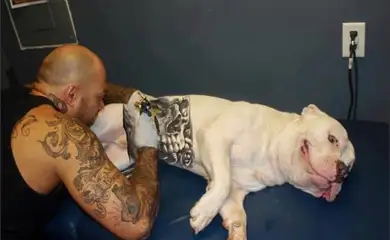 Brasília (DF), 17/06/2025 - Proibição de tatuagem em pets avança na Comissão de Meio Ambiente
Fonte: Camâra Legislativa DF