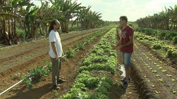 Cláudio Jacinto, mestre em sustentabilidade, e Idalércio Barbeta, produtor de orgânicos