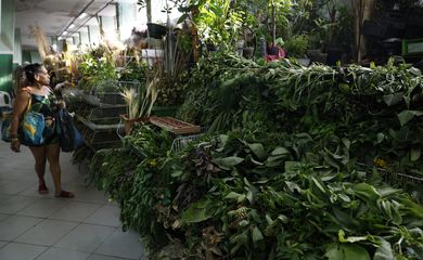 Rio de Janeiro (RJ), 16/12/2025 – Comércio de ervas para banhos energéticos e espirituais no Mercadão de Madureira. Foto: Fernando Frazão/Agência Brasil