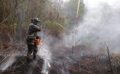 Operação de Garantia da Lei e da Ordem Verde Brasil sob a Coordenação da 17ª Brigada de Infantaria de Selva e com a participação de Órgãos Estaduais e Federais,  para combate a incêndios em vegetação e repressão a delitos ambientais