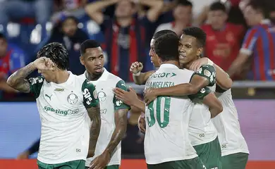 palmeiras, cerro, libertadores