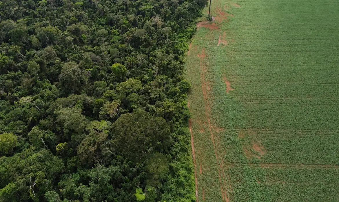Brasnorte (MT), 09/04/2025 – Vista aérea do encontro da Floresta Amazônica com lavouras de milho e soja, na margem da Terra Indígena Erikpatsa, onde vive o Povo Rikbaktsa. Foto: Fernando Frazão/Agência Brasil