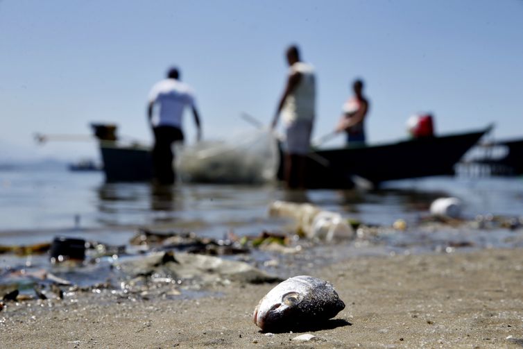 Rio de Janeiro - Mesmo poluída, Baía de Guanabara é fonte de renda para milhares de pescadores (Tânia Rêgo/Agência Brasil)