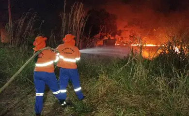 Alvorada do Oeste (RO), 22.08.2024 - Força-Tarefa do Corpo de Bombeiros combate incêndios florestais em Alvorada do Oeste em Rondônia. Foto: CBMRO/Divulgação