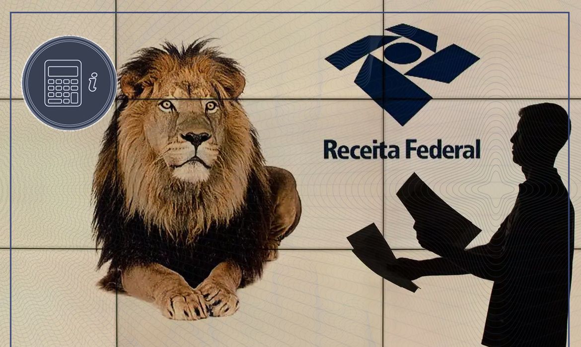 Brasília (DF), 24/04/2025 - Arte para matéria sobre Tira-Dúvidas do Imposto de Renda 2025. O que acontece se eu não declarar o Imposto de Renda? O que eu faço se eu perder o prazo para declaração do Imposto de Renda? Arte/Agência Brasil