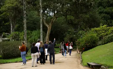 Rio de Janeiro (RJ), 05/06/2024 – Trilha guiada pelo biólogo Marcus Nadruz, no Jardim Botânico do Rio de Janeiro, no Dia Mundial do Meio Ambiente. Foto: Tomaz Silva/Agência Brasil