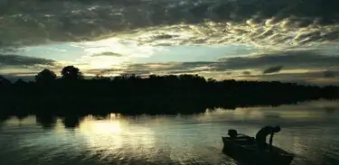 Rio, vegetação, natureza