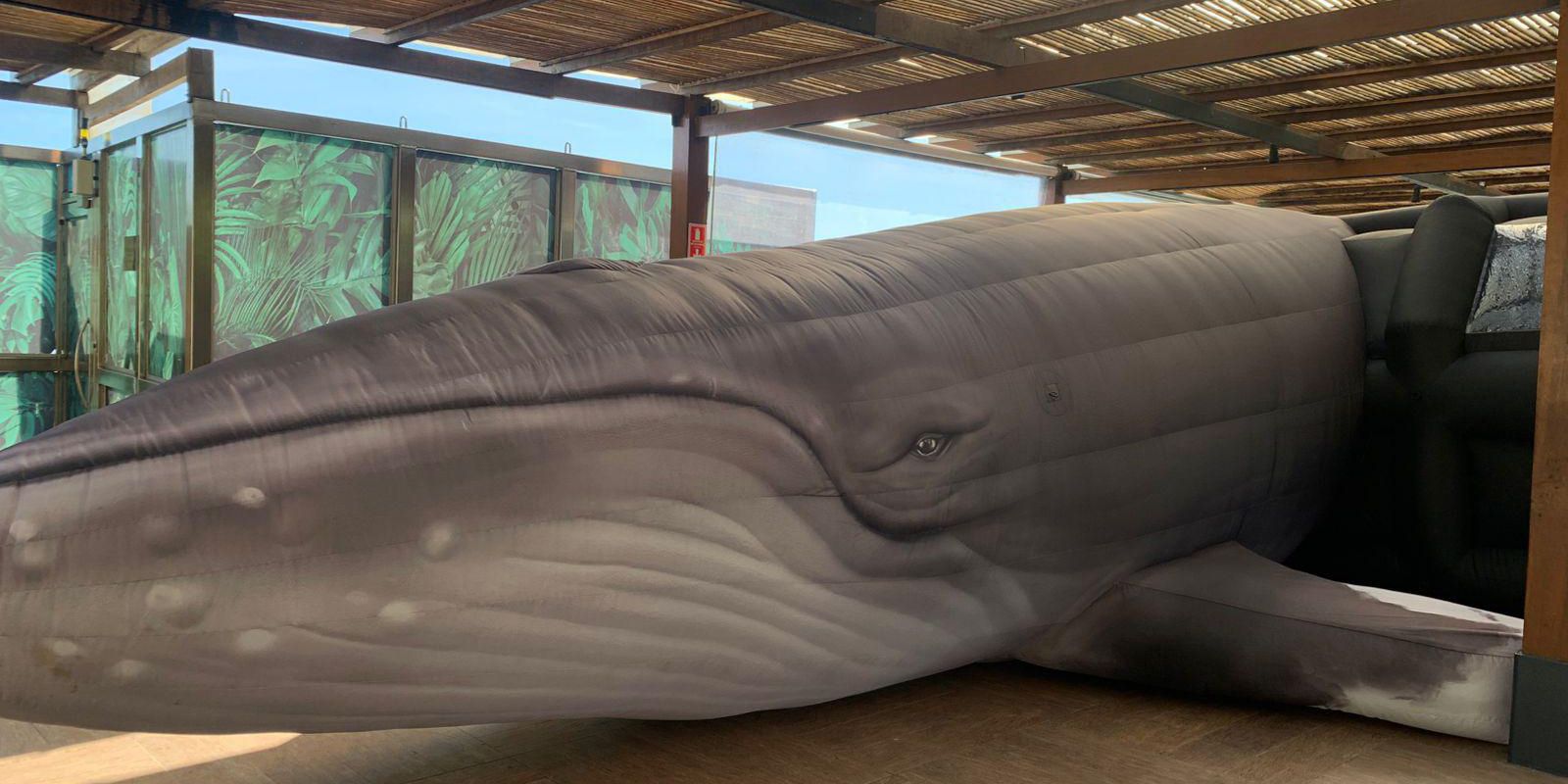 Jardim Botânico do Rio expõe réplica de jubarte por conscientização