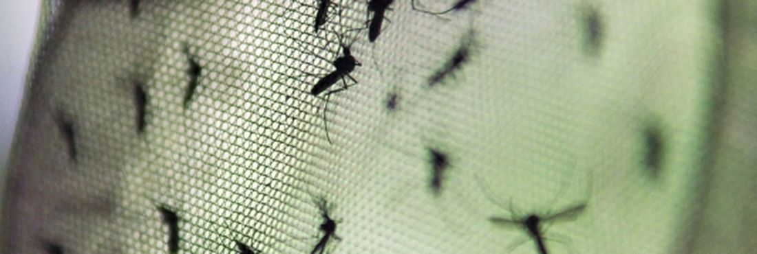 Cinco casos de dengue são confirmados em Tabatinga