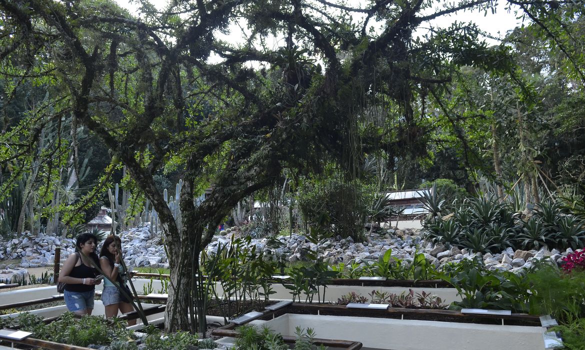 Jardim Botânico do Rio de Janeiro reabriu hoje (30) o Jardim Sensorial, espaço que oferece um conjunto de plantas com diferentes texturas e aromas, que os visitantes podem tocar e cheirar (Tomaz Silva/Agência Brasil)