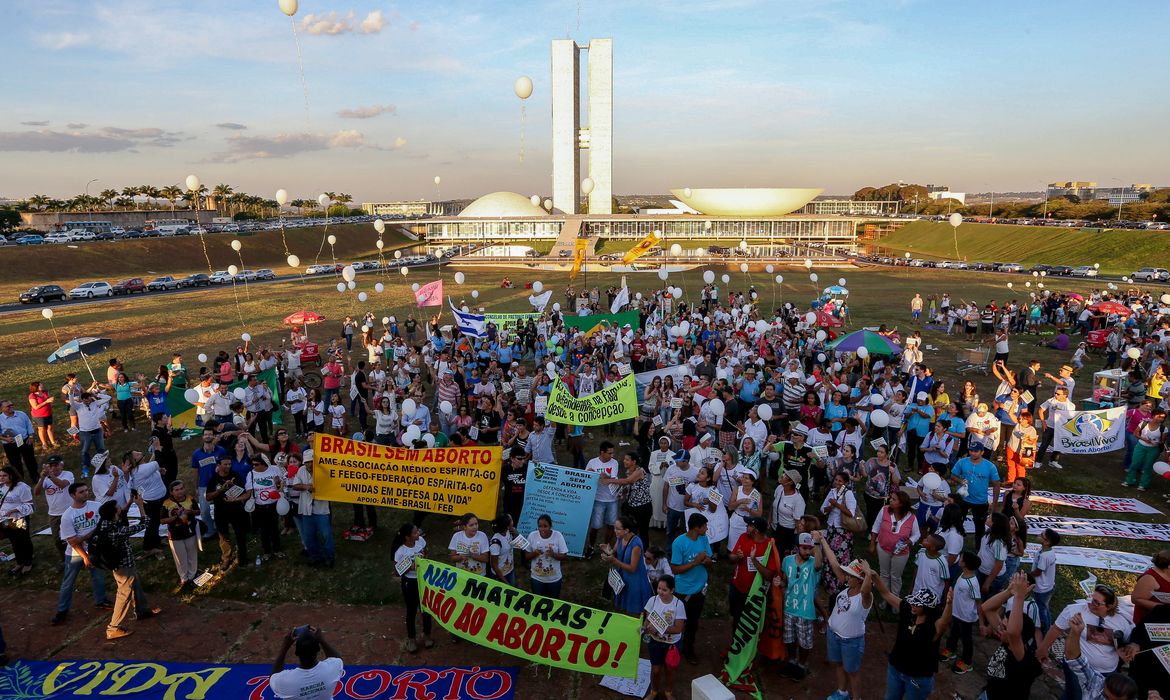 Brasília - Na 9ª Marcha Nacional da Cidadania pela Vida e Contra o Aborto, os manifestantes caminharam da Torre de TV até o Congresso Nacional  (Valter Campanato/Agência Brasil)