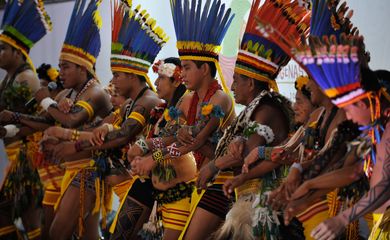 ONU alerta sobre proteção dos direitos dos indígenas