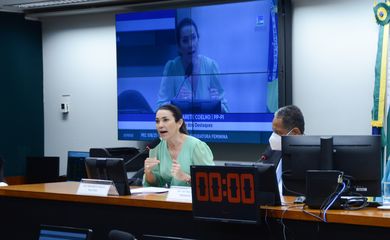 23/03/2022 - Comissão Especial - PEC 018/21 – Aplicação Recursos Candidatura Feminina
Billy Boss/Câmara dos Deputados