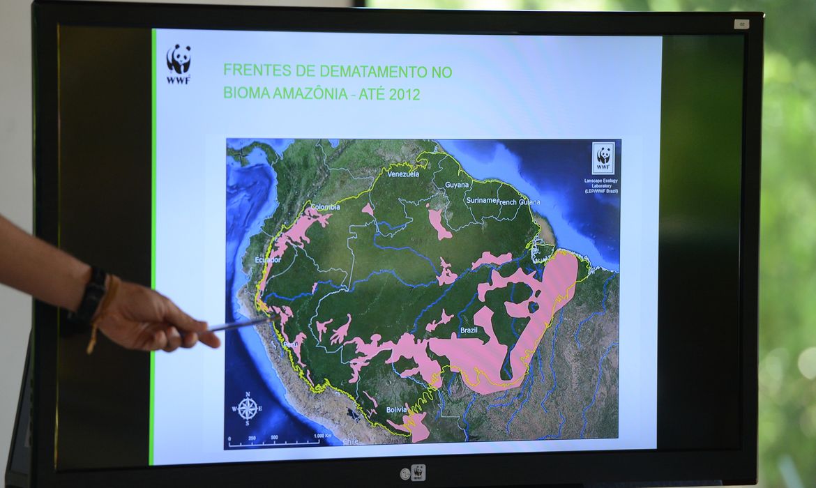 wwf.brasil lança publicaçao sobre desmatamento na amazonia,esq/d=andre dias cooedenador do programa amazonia wwf.brasil= e marco lentini,camisa cinza=