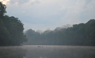 Floresta Nacional do Amapá