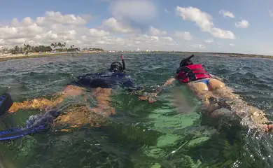 Ipojuca (PE), 26/10/2023 - Prática do snorkel em piscinas naturais formadas pelos recifes de corais na praia de Porto de Galinhas. Foto: Fernando Frazão/Agência Brasil
