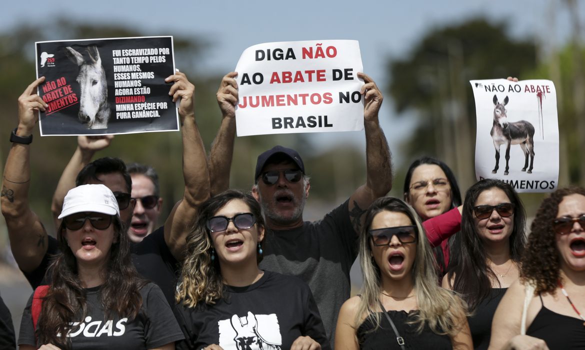 Brasília (DF), 30/07/2023 - Entidades de proteção dos animais, ativistas e advogados realizam manifestação contra o abate de jumentos no Brasil. Foto: Marcelo Camargo/Agência Brasil
