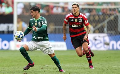 palmeiras, flamengo, supercopa do brasil