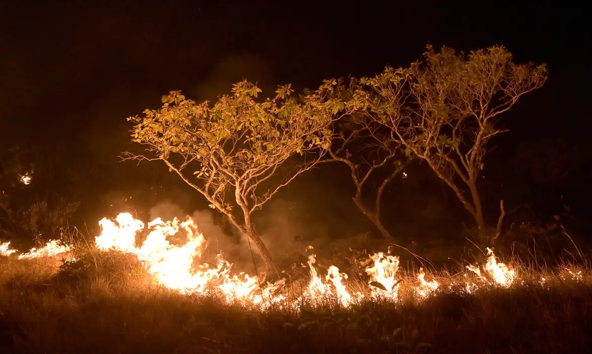 20-02-2024 Queimadas e incêndios em Amajari – Roraima - Foto Jader Souza/AL Roraima