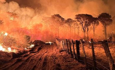 Pantanal (MS) 15/11/2023 Governo de MS intensifica ações e combate aos incêndios no Pantanal. Fotos: CPA-CBMMS / Mairinco de Pauda, Semadesc