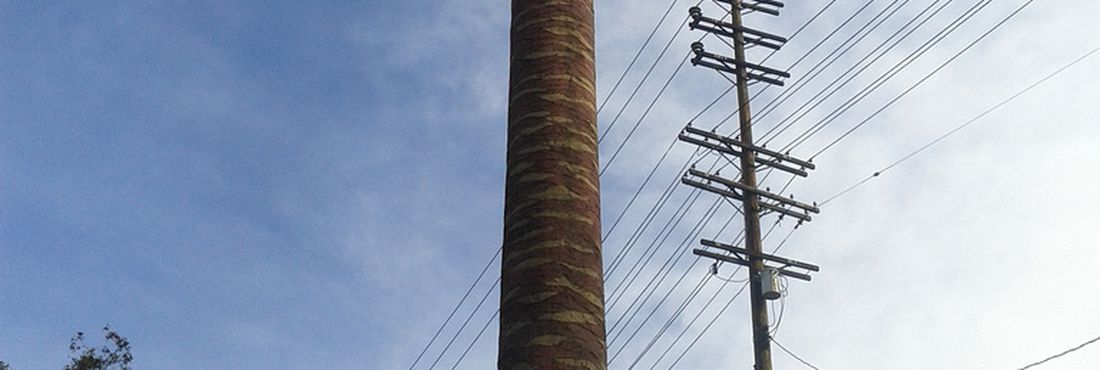 Antena de Celular em formato de Palmeira A antena de celular em formato de palmeira pode ser uma alternativa ao cumprimento da legislação quando às exigências da manutenção da paisagem urbana.