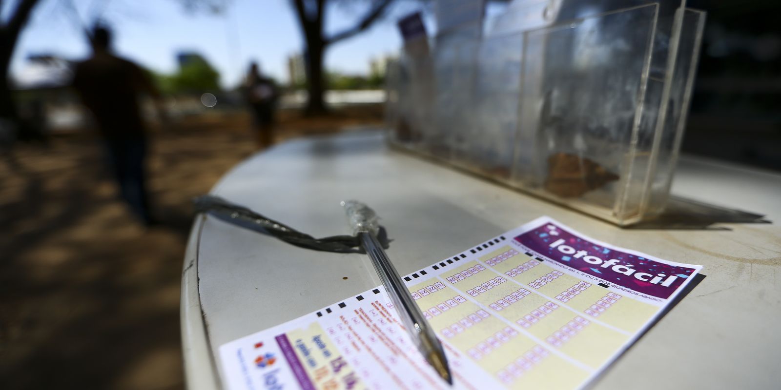 Lotofácil de Independência: bolão de R$ 38 mil venceu prêmio milionário no  Ceará, Ceará