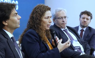 Brasília (DF), 27/08/2025 - Ministra da Gestão e Inovação, Ester Dweck, fala durante a 2ª Edição Agenda Brasil - Painel 