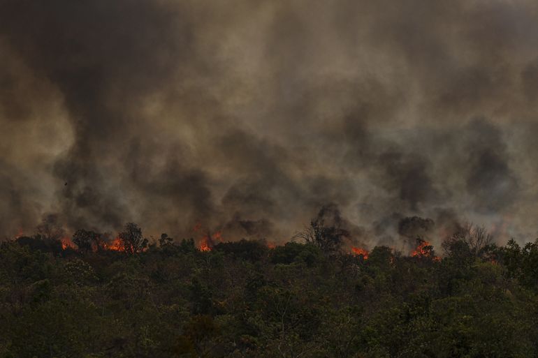 Brasília (DF), 16/09/2024 - Grandes focos de incêndio atingem áreas do Parque Nacional de Brasília. Foto: Marcelo Camargo/Agência Brasil
